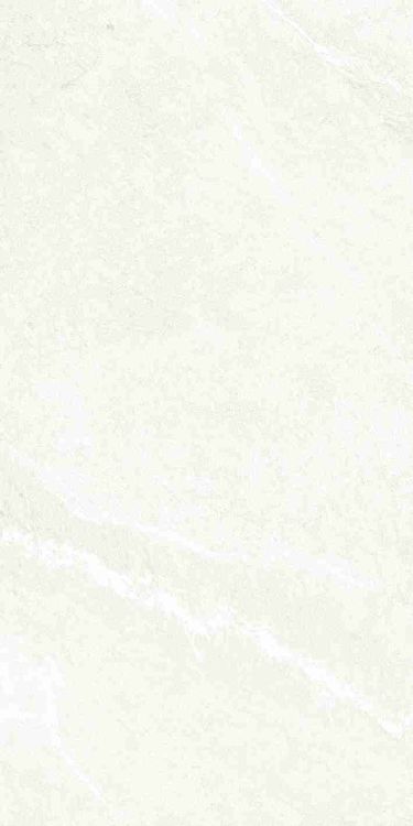 Dhara White Matte 24 x 48